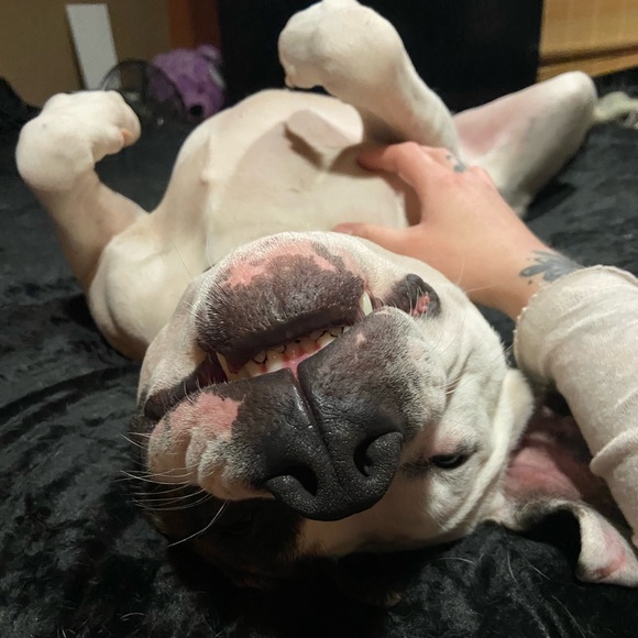 Meet your Posher, Brittney - Picture 8 of 16